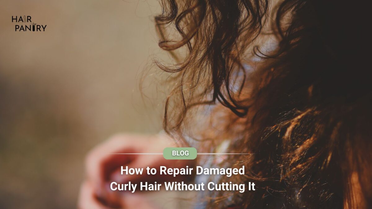 How to Repair Damaged Curly Hair Without Cutting It