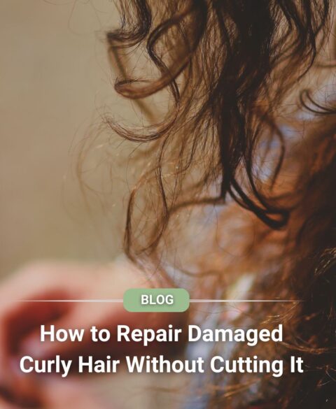 How to Repair Damaged Curly Hair Without Cutting It