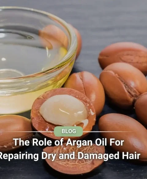 The Role of Argan Oil For Repairing Dry and Damaged Hair