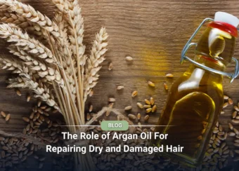 What is wheat germ oil