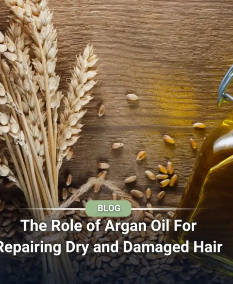 What is wheat germ oil