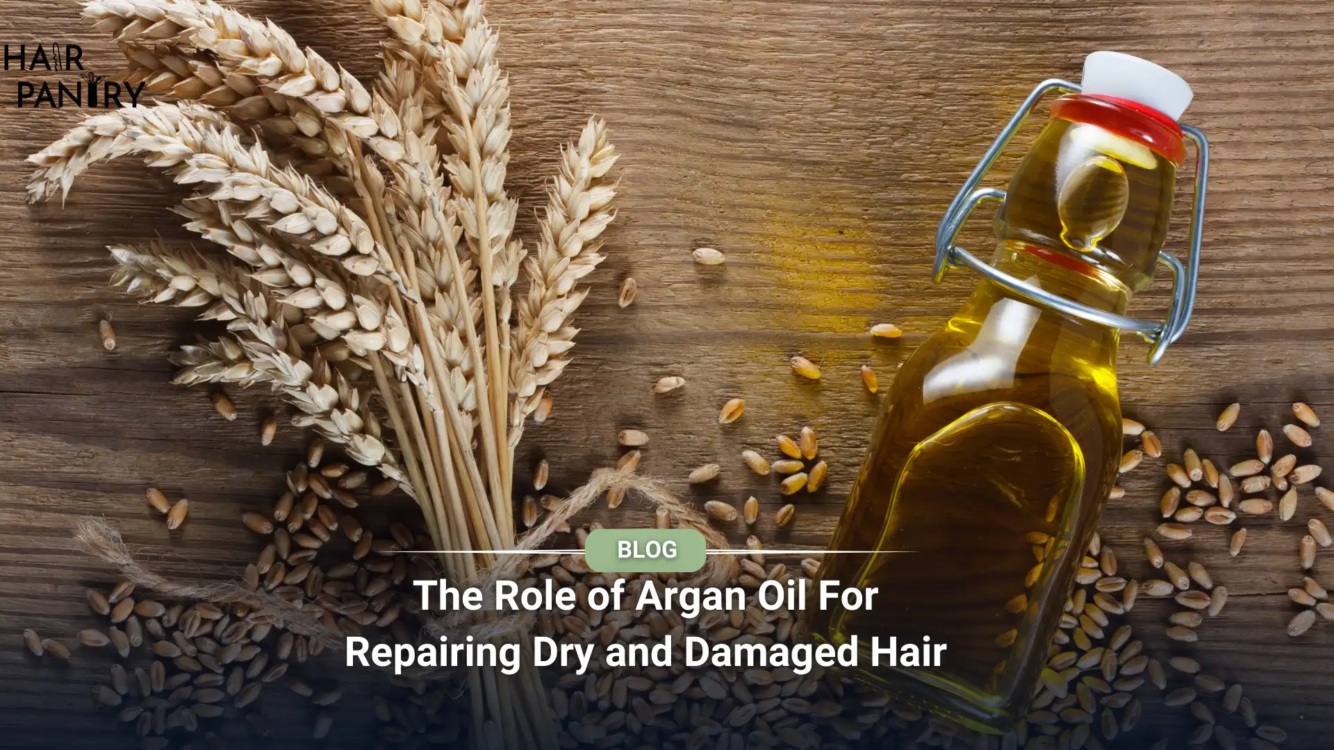 What is wheat germ oil